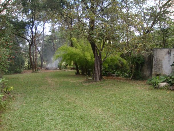 13 - Mata nativa preservada