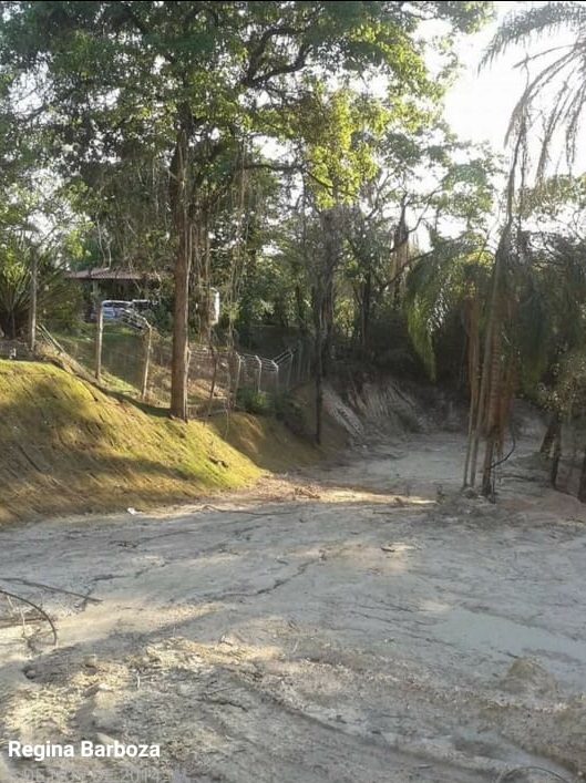 Foto 02