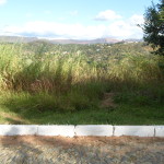 vinicios_SAM_1655