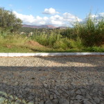 vinÁ­cios_SAM_1656