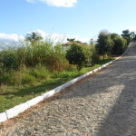 vinÁ­cios_SAM_1658